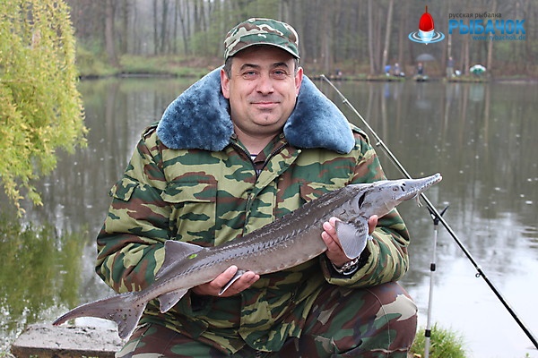 Мой первый осётр 
