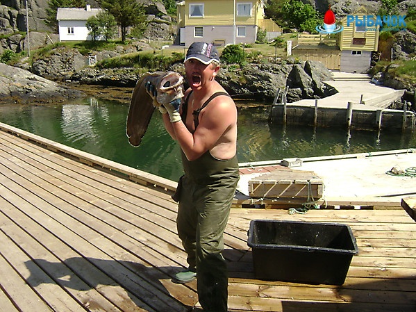 На Рыбалке в Норвегии