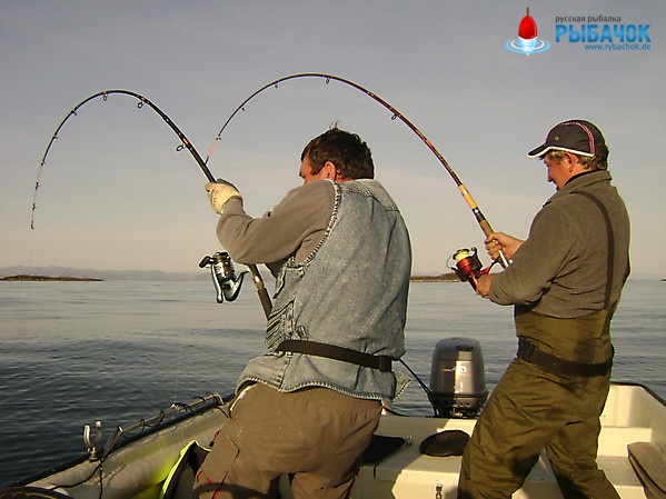 На Рыбалке в Норвегии