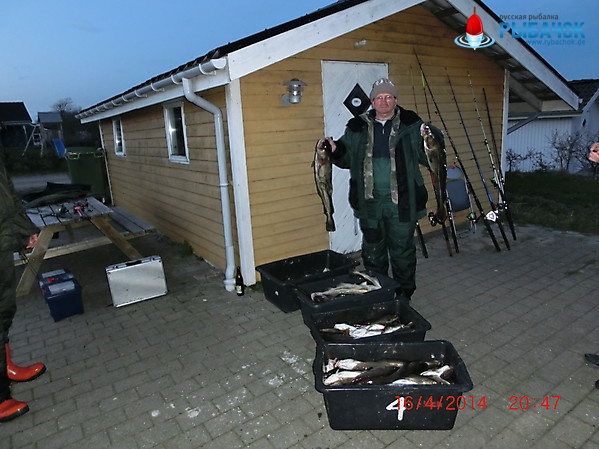 Рыбалка в Дании остров Лангеланд